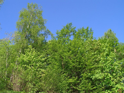 33879 (a): :1024x768